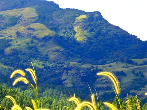 #Mountains of #Fiji. #Travel #Explore | Natural landmarks, Fiji, Mountains