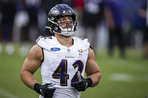 Ravens activate Patrick Ricard from Physically Unable to Perform list - Baltimore Beatdown