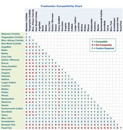 Freshwater Fish Compatibility Chart - Aquarium Connection