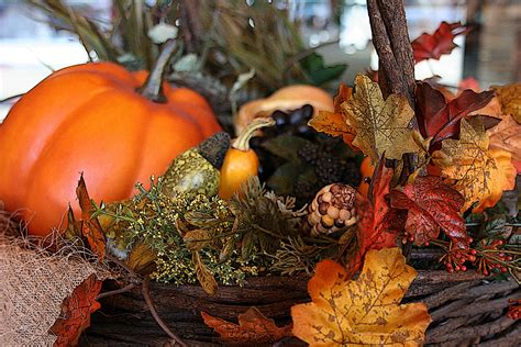 Thanksgiving | Minnesota Prairie Roots