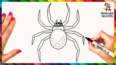 Cómo Dibujar Una Araña Paso A Paso Araña Dibujo