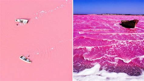 The Pink Lake - West Australia