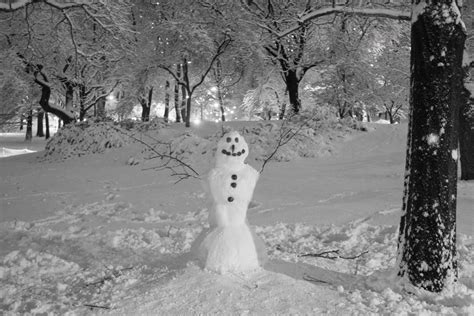 Ice and snow in NYC parks A happy looking snowman smiles in Central ...