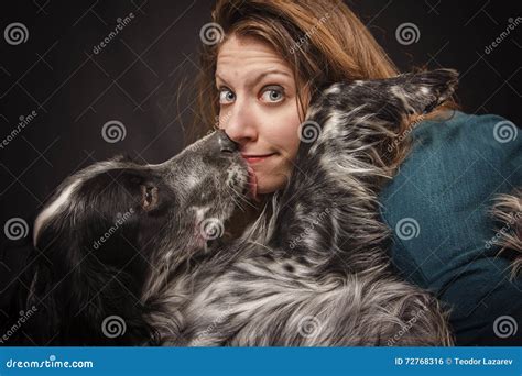 Dog licks his owner s face stock photo. Image of english - 72768316