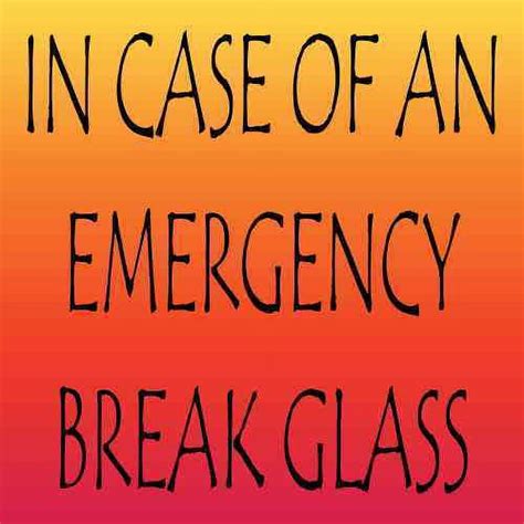 3inX3in In Case Of An Emergency Break Glass Sticker Vinyl Funny Jar Decal - Walmart.com