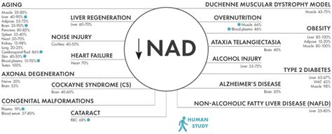 NAD Levels Are Not Constant — About NAD