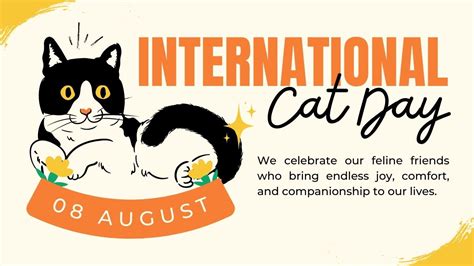 International Cat Day 2023: 10 Fun Facts About Cats That You Probably ...