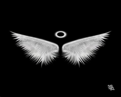 Angel Wings Black Background