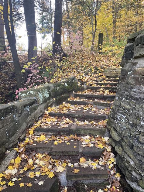 Your Guide to Exploring Mohican State Park in Loudonville, Ohio