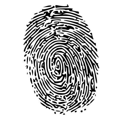 Fingerprint PNG Transparent Images | PNG All