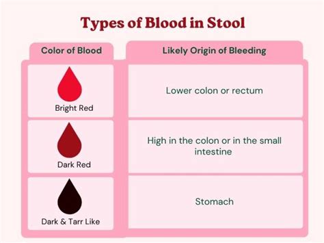 Blood in Stool – All you need to know