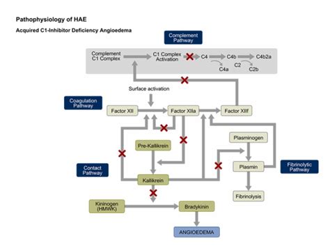 Hereditary Angioedema