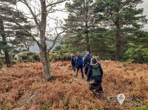 Free Guided Hikes in the Dublin Mountains • All Around Ireland