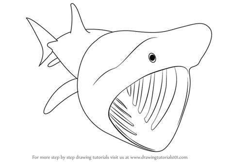 a drawing of a shark with its mouth open