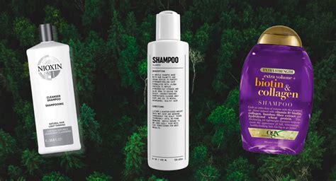 Top more than 162 protein shampoo for hair growth - tnbvietnam.edu.vn