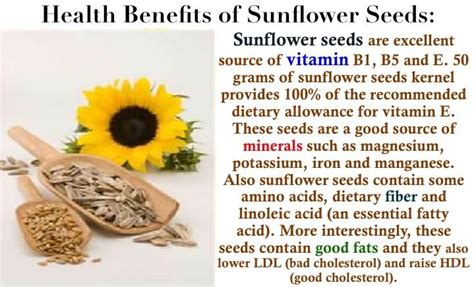 Precious Family: Health Benefits of Sunflower seeds.....