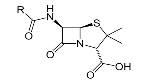 World's first antibiotic, Penicillin, was discovered today: Facts you ...