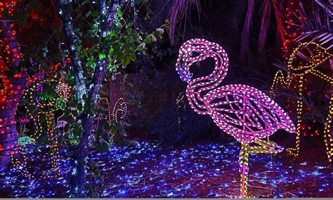 ZooLights in - Phoenix, AZ | Groupon