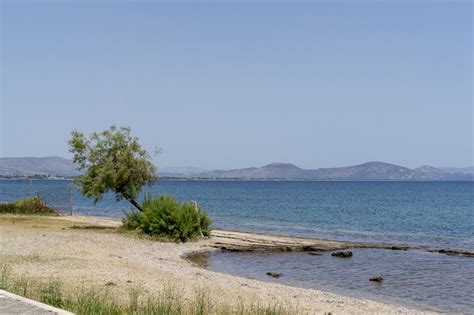 Beaches Near Athens - Nea Makri