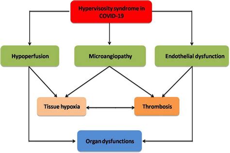 Complications of hyperviscosity syndrome in COVID-19: Hyperviscosity... | Download Scientific ...