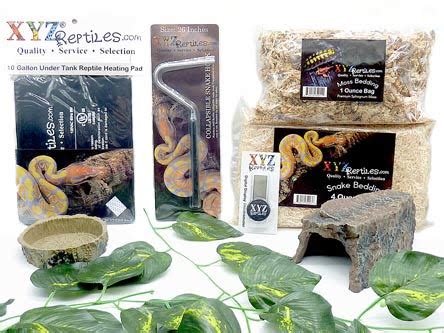 Snake Habitat For Sale | Buy The Perfect Snake Starter Kit At XYZReptiles