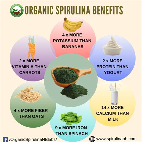 Organic spirulina benefits – Artofit