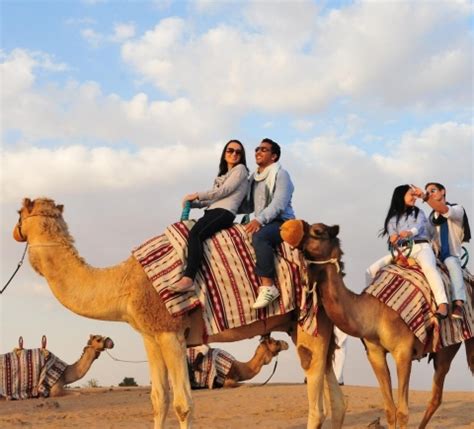 Dubai Desert Conservation Reserve, Dubai - Book Tickets & Tours | GetYourGuide