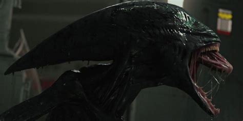 Prometheus’ Deacon Xenomorph Is The Key To Alien Biology