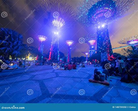 People Watching Supertrees Night Light Show at Gardens by the Bay ...