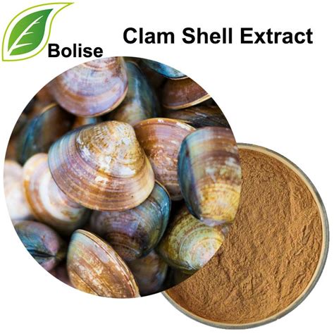 Clam Shell Extract | Clams, Clam shell, Herbal extracts