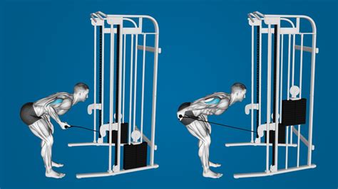 Cable Tricep Kickbacks: Exercise Overview and How-To Guide - Lifting FAQ