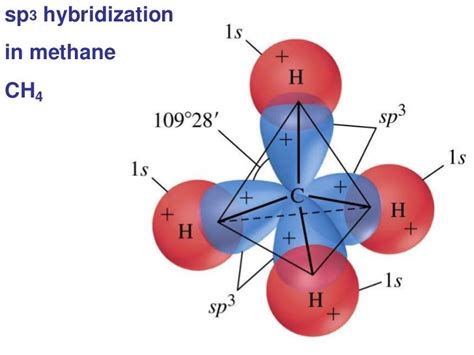 2012 Orbital Hybrization, Sigma and Pi Bonds