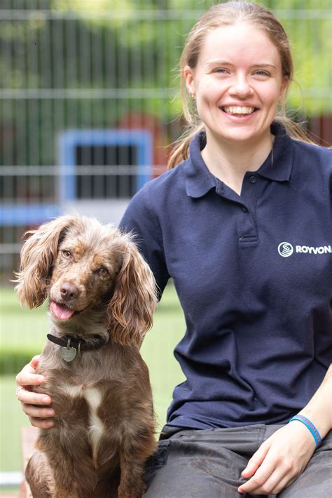 Cocker Spaniel Training | Puppy Training & Dog Boarding