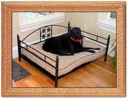 Wrought Iron Dog Beds Manufacturer from Panchkula