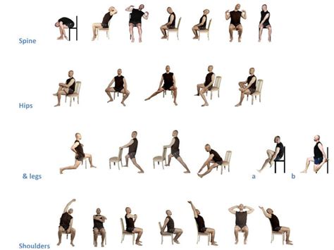 Exercises For Seniors: Easy Stretching Exercises For Seniors