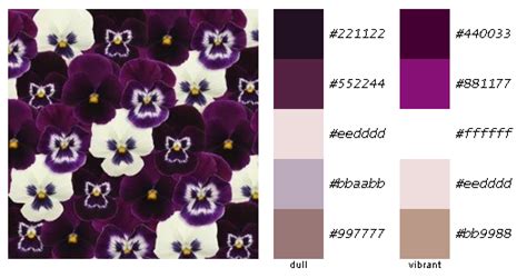 Pansy color palette | Color palette, Pansies, Inspiration