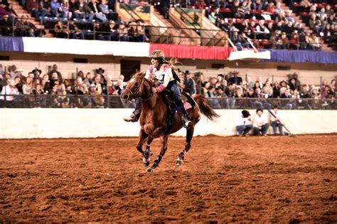 Fort Worth Rodeo - Texas Hill Country