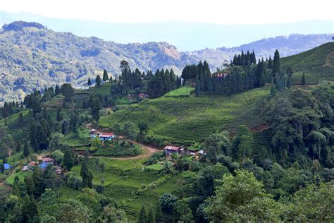 Eastern Nepal Exposure Community Tour in Ilam