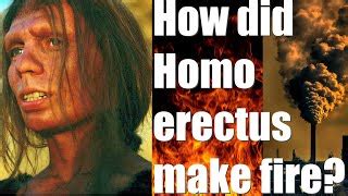 Pleistocene fire making: Why H erectus became bigger fa... | Doovi