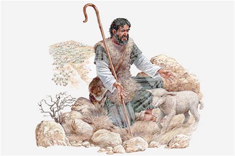 Parable of the Lost Sheep - Bible Story Study Guide