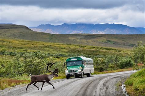 Alaska National Parks: All You Need to Know to Visit (2024-2025)