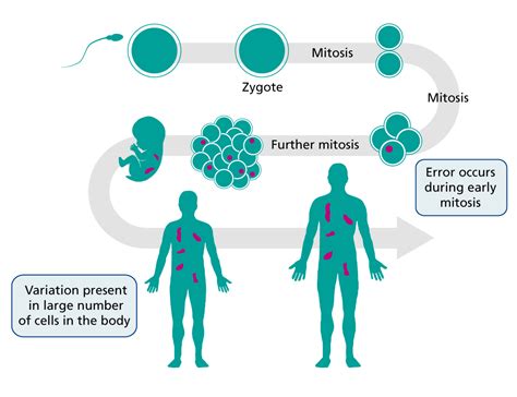 Mosaicism — Knowledge Hub