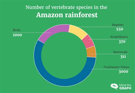 The biodiversity of the Amazon rainforest in images - Mind the Graph Blog