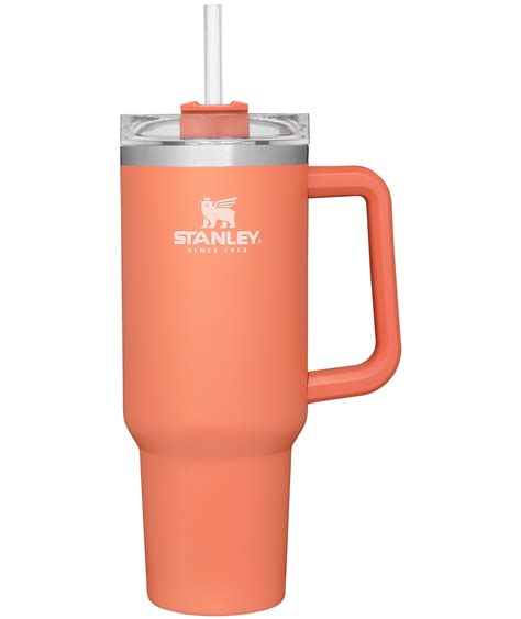 Your Favorite Stanley Tumbler Now Comes in 8 New Spring-Ready Colors