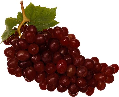 Download Red Grapes PNG Image for Free