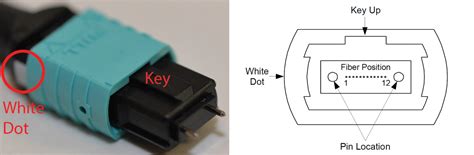 Introduction To MPO Connector - News - FOCC Fiber Co. LTD