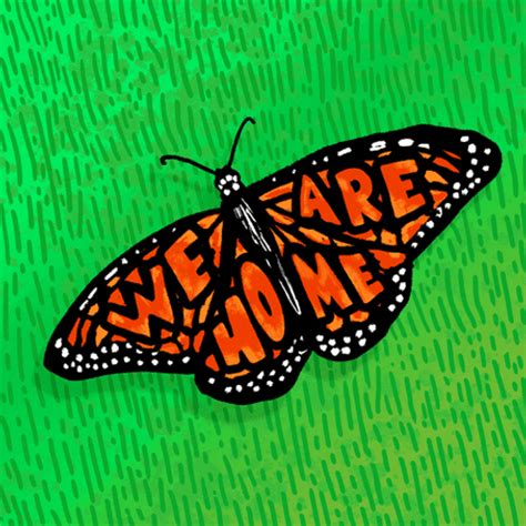 Monarch Butterfly Butterflies Gif Wifflegif - vrogue.co