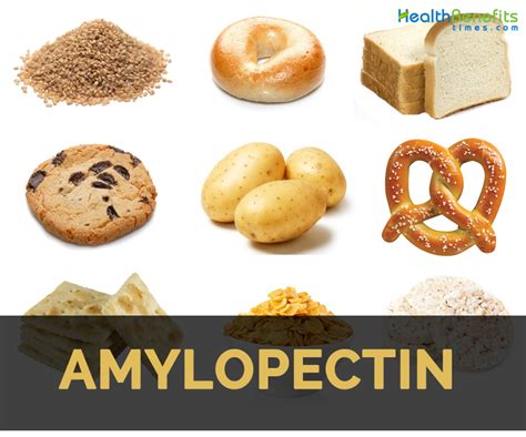 Amylopectin Facts and Health Benefits | Nutrition