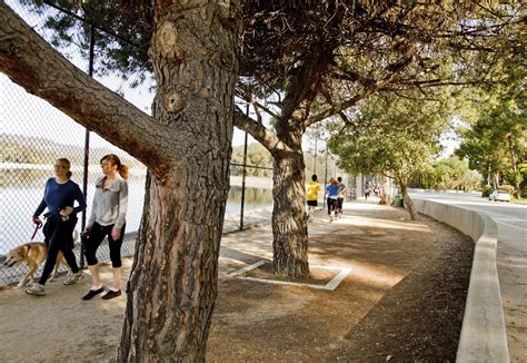 Silver Lake Reservoir Path and Meadow