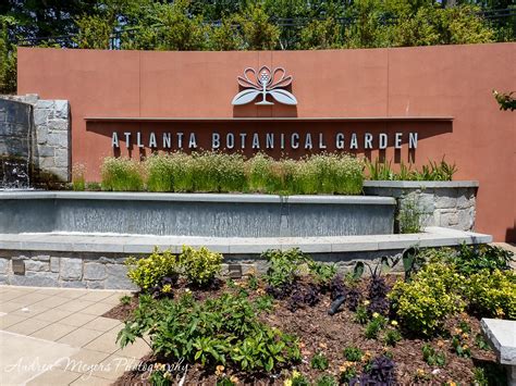 Atlanta Botanical Garden - Andrea Meyers